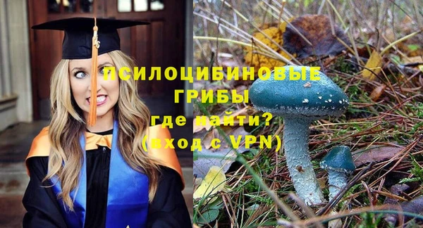 амф Покров