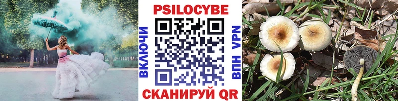Купить где  Ясногорск  Псилоцибиновые грибы мухоморы 