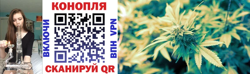 Купить где  Ясногорск  Бошки марихуана тримм 