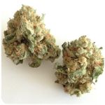 Шишки "White Widow"  (Белая вдова)  Гидропоника -  Бошка VHQ в Ясногорске